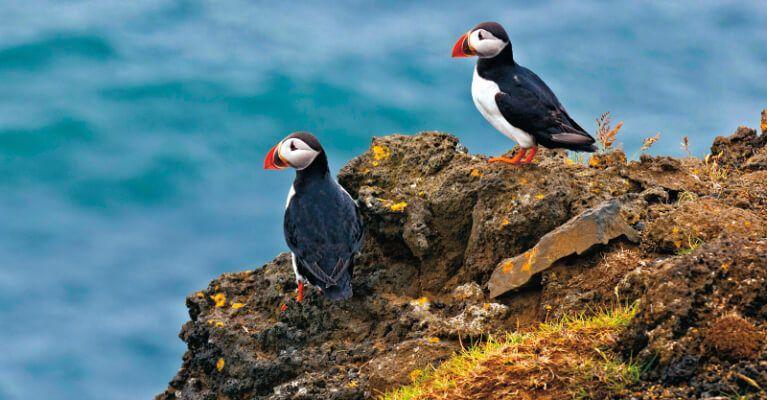 Holidays to the Faroe Islands